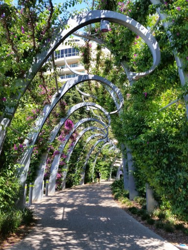 South Bank Arbour