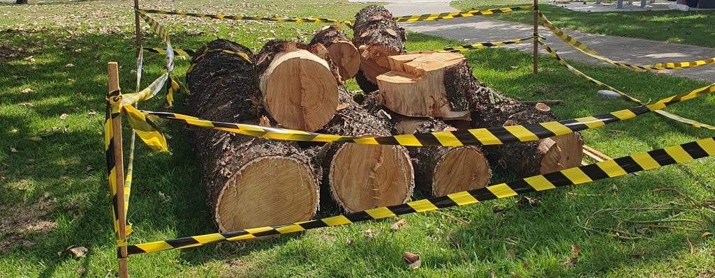 The image shows a stack of sawn tree logs piles neatly and surrounded by black and yellow 'caution' tape.
